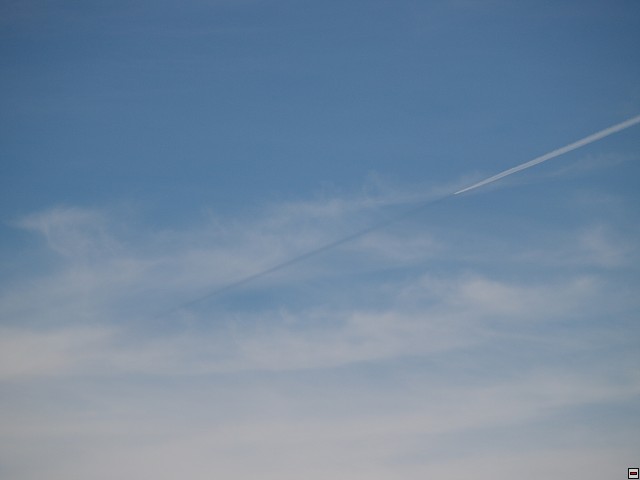 img00029.jpg