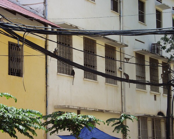XU7ADB Cambodia